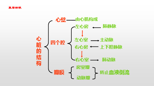 5.血液循环