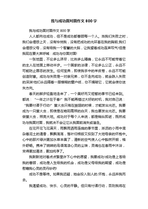 我与成功面对面作文800字