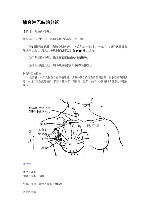 腋窝淋巴结的分组