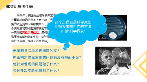 第二节探索生命的方法课件 苏教版生物七年级上册