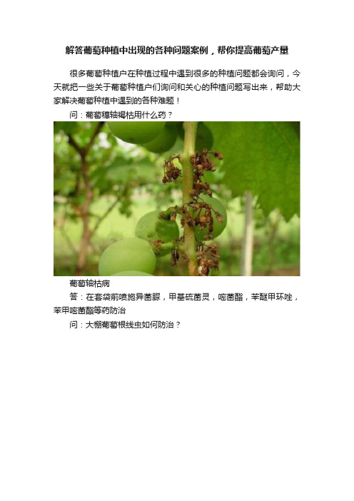 解答葡萄种植中出现的各种问题案例，帮你提高葡萄产量