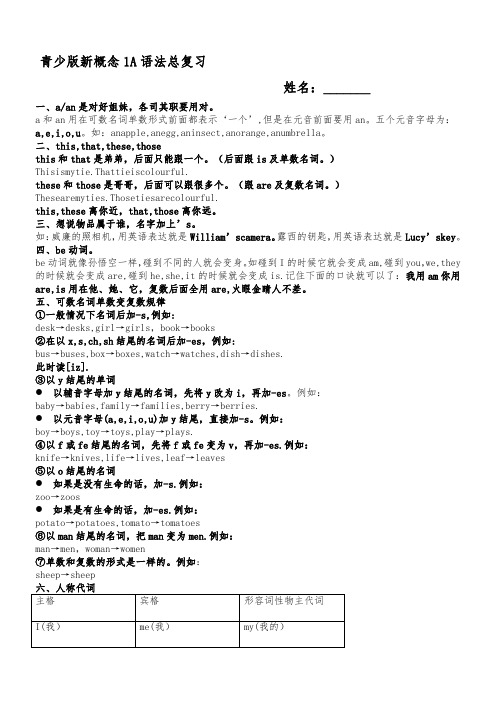 新概念青少版1A_语法知识总结