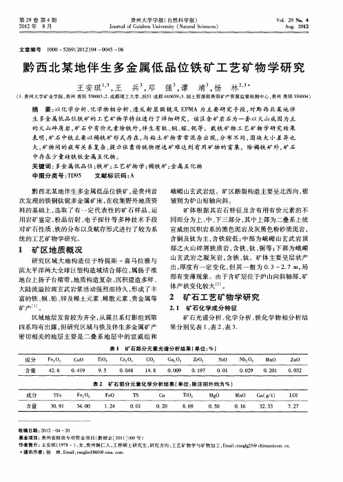 黔西北某地伴生多金属低品位铁矿工艺矿物学研究