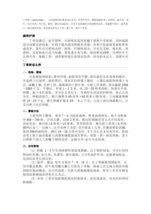 丁香树——精选推荐