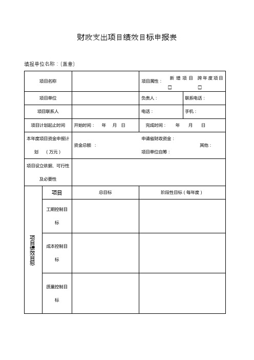 财政支出项目绩效目标申报表【模板】