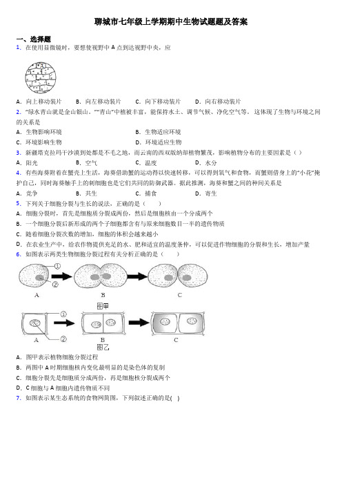 聊城市七年级上学期期中生物试题题及答案