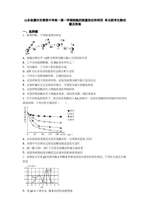 山东省滕州市善国中学高一第一学期细胞的能量供应和利用 单元联考生物试题及答案