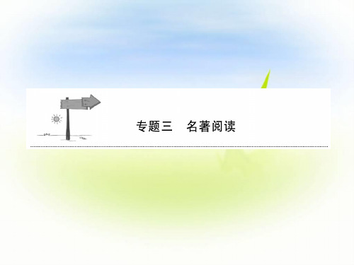 安徽省2018年中考语文总复习：名著阅读