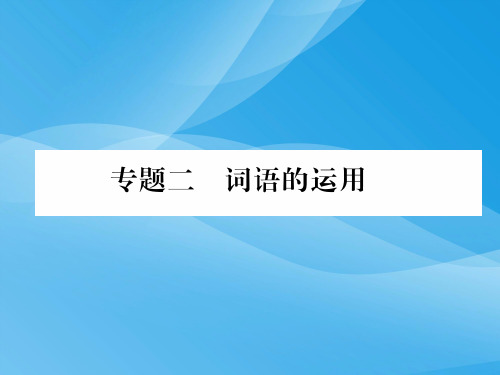 2018年八下语文专题2词语的应用(人教部编版)语文课件PPT