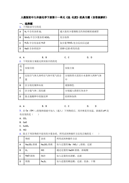 人教版初中九年级化学下册第十一单元《盐 化肥》经典习题(含答案解析)