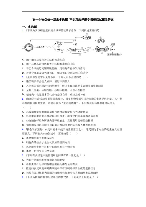 高一生物必修一期末多选题 不定项选择题专项模拟试题及答案