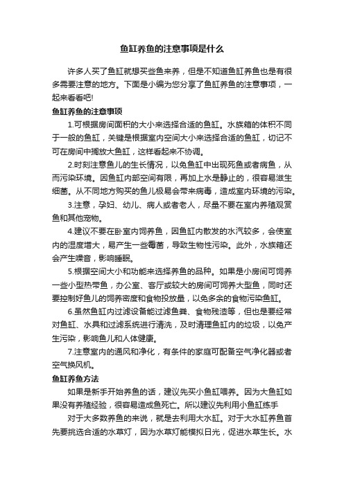 鱼缸养鱼的注意事项是什么