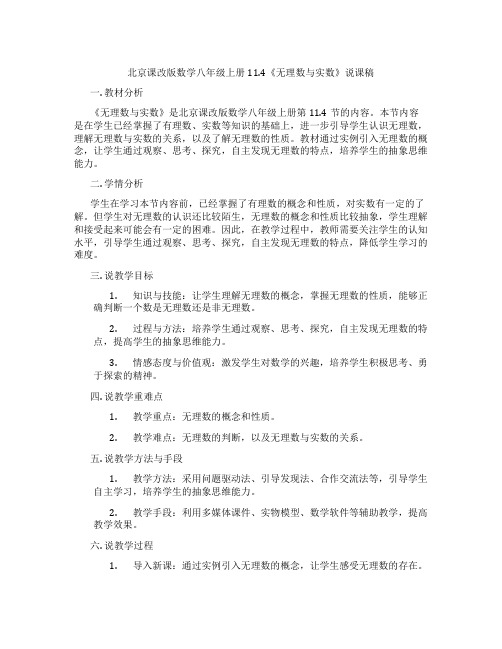 北京课改版数学八年级上册11.4《无理数与实数》说课稿