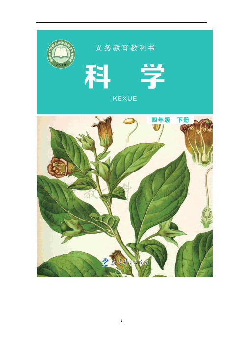 (2021新教材)教科版四年级下册《科学》全册教案、教学设计+教学计划+教学反思