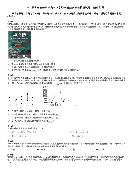 2023届山东省德州市高三下学期三模全真演练物理试题(基础必刷)