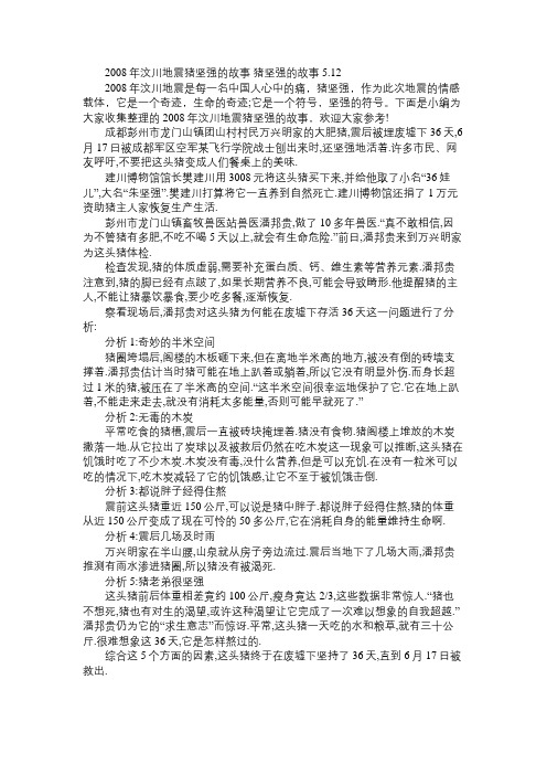 2008年汶川地震猪坚强的故事 猪坚强的故事5.12
