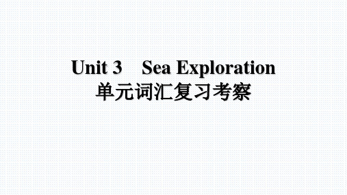 【课件】新人教版选择性必修第四册 Unit3 Sea Exploration 单元基础知识复习 课件