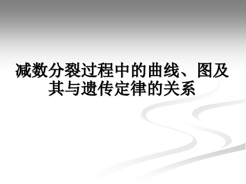 减数分裂过程中的曲线图及其与遗传定律的关系详解