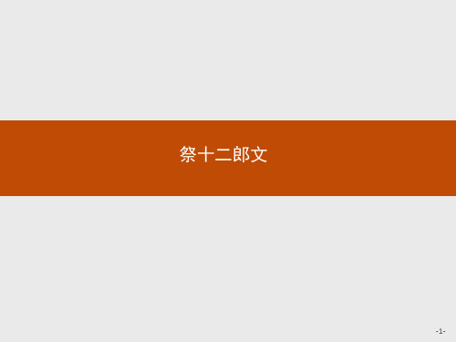 人教新课标版语文高二《中国古代诗歌散文欣赏》课件 5.3 祭十二郎文