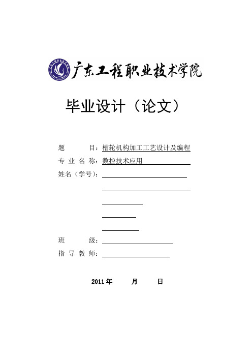 毕业设计-槽轮机构加工工艺设计及编程分析解析