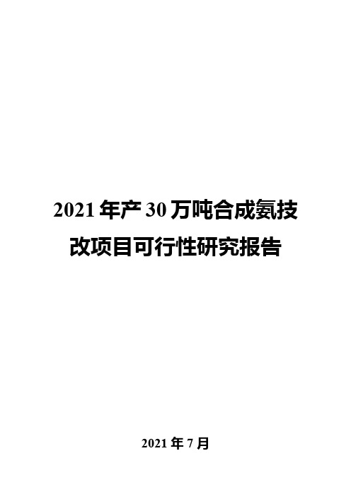 2021年产30万吨合成氨技改项目可行性研究报告