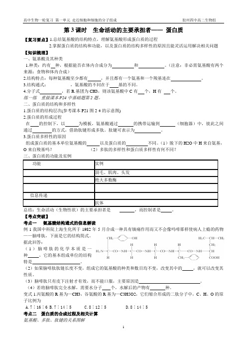 第3课时生命活动的主要承担者