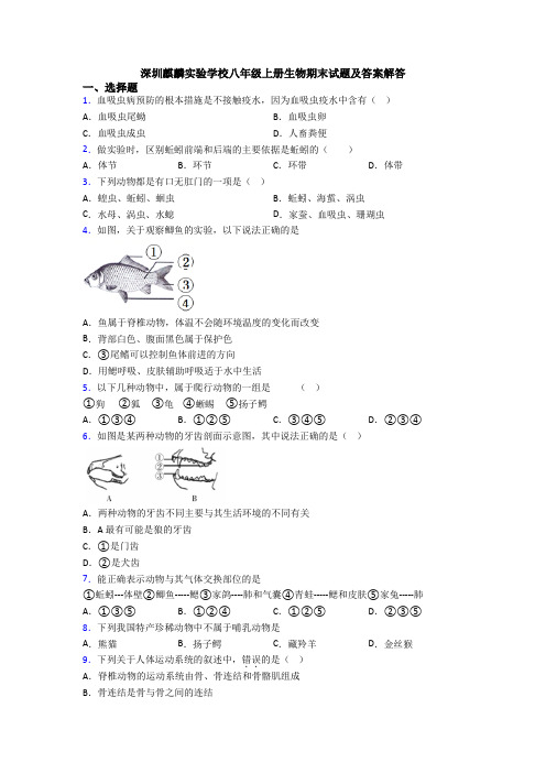 深圳麒麟实验学校八年级上册生物期末试题及答案解答