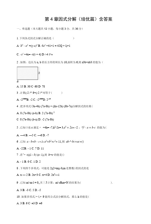 第4章 因式分解(培优篇)含答案