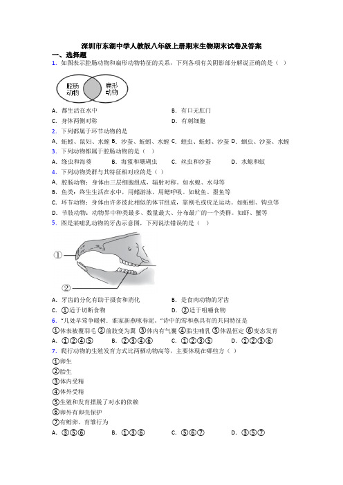 深圳市东湖中学人教版八年级上册期末生物期末试卷及答案