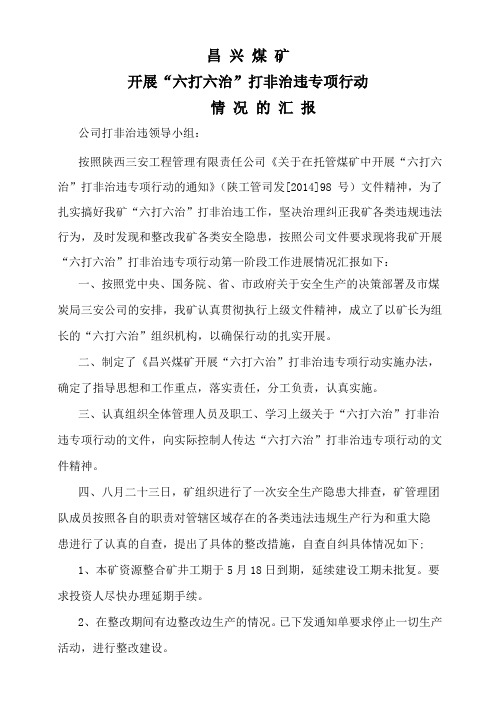 打非治违专项行动汇报