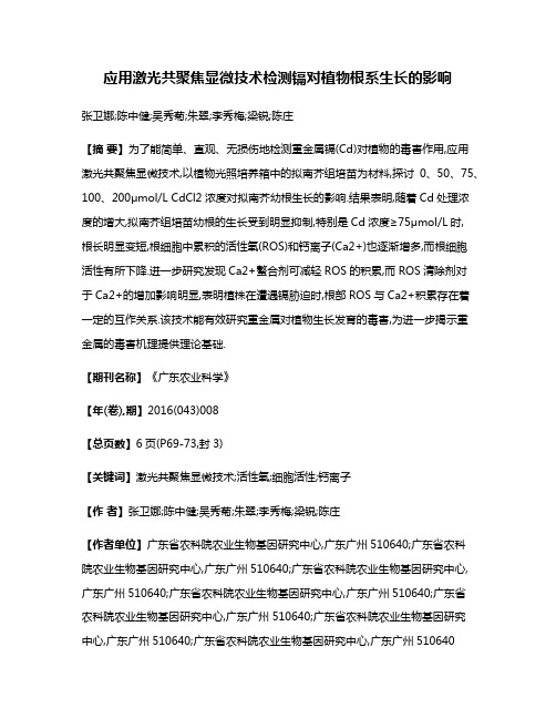 应用激光共聚焦显微技术检测镉对植物根系生长的影响