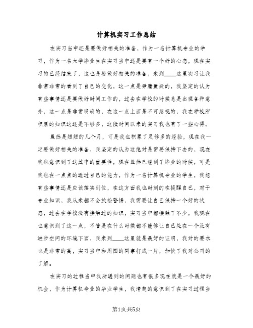 计算机实习工作总结（3篇）