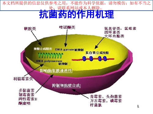 呼吸科常用药物知识培训课件