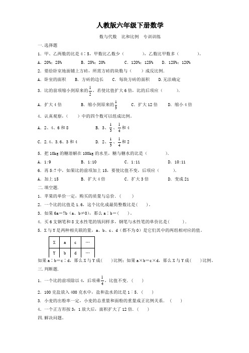 人教版六年级下册数学  数与代数   比和比例  专训训练