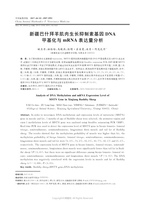 15022246_新疆巴什拜羊肌肉生长抑制素基因DNA甲基化与mRNA表达量分析