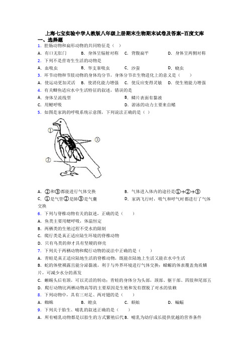 上海七宝实验中学人教版八年级上册期末生物期末试卷及答案-百度文库