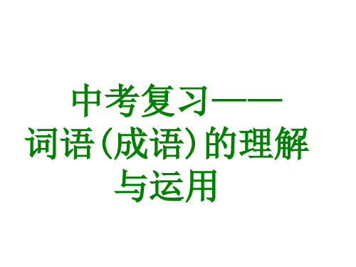 中考复习：词语成语的理解与运用汇总