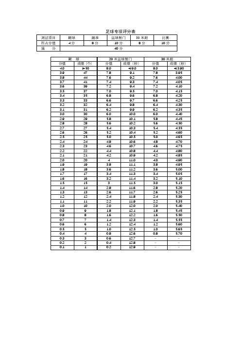 足球专项评分表【模板】