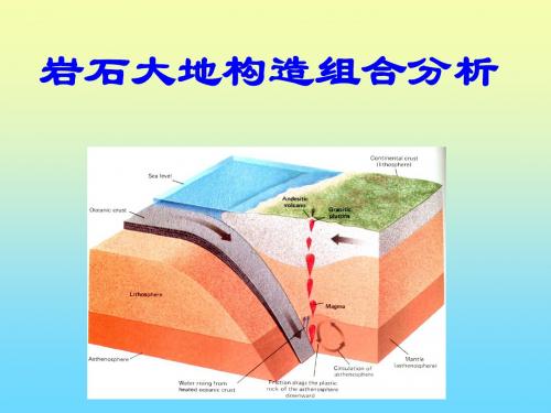 精编岩石大地构造组合分析资料