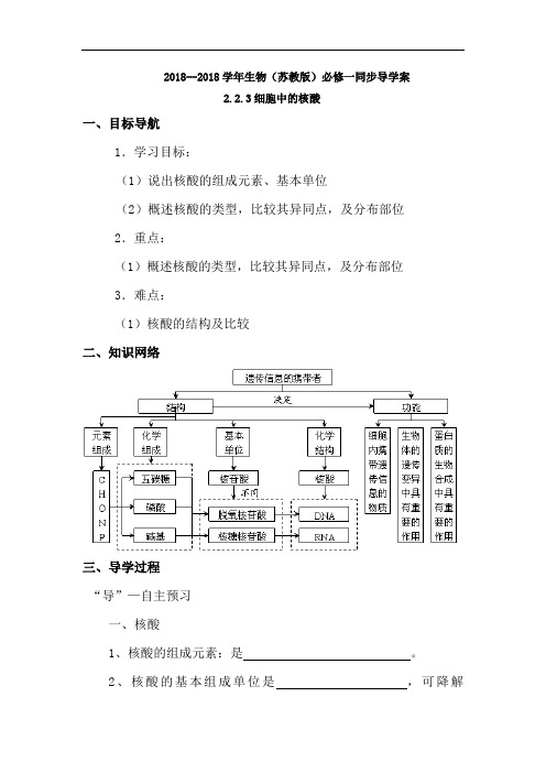 最新高中生物-高一生物细胞中的核酸 精品