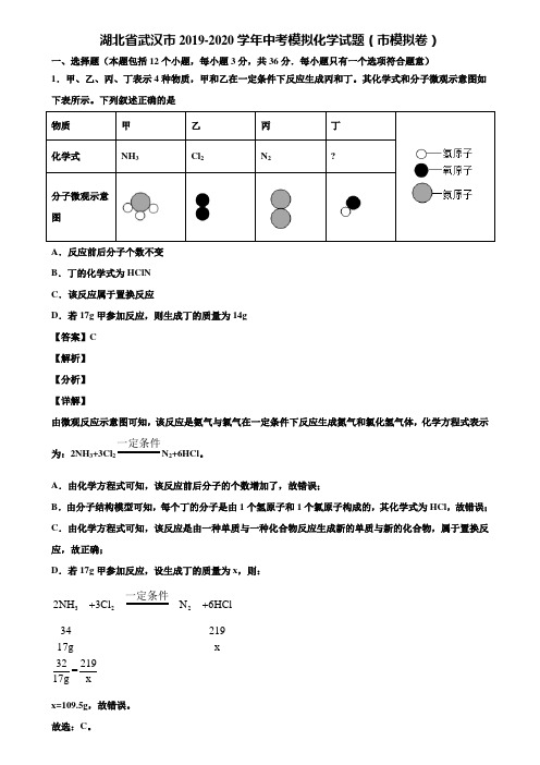 湖北省武汉市2019-2020学年中考模拟化学试题(市模拟卷)含解析