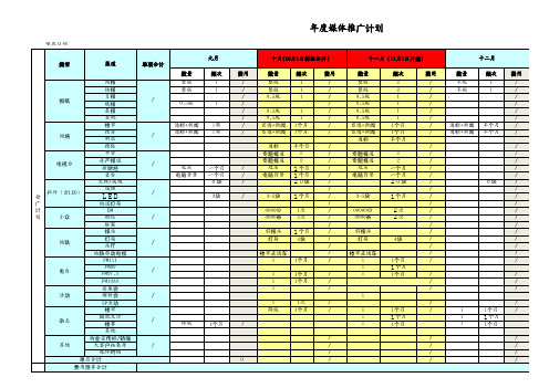 房地产项目开盘前媒体推广计划排期表