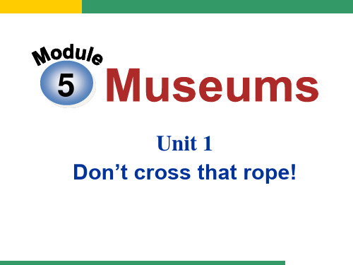 外研版九年级上M5U1 Unit 1  Don’t cross that rope!