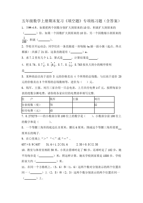 五年级数学上册期末复习《填空题》专项练习题(含答案)