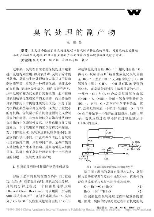 臭氧处理的副产物_王晓昌