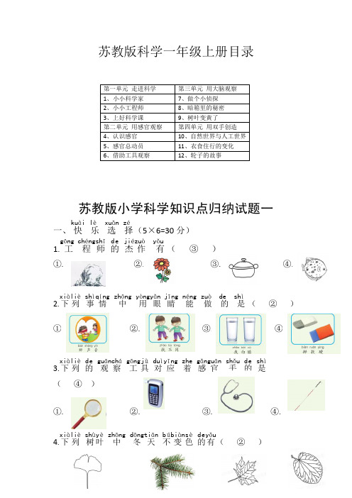 苏教版科学一年级上册知识点归纳试题及部分答案(三套)