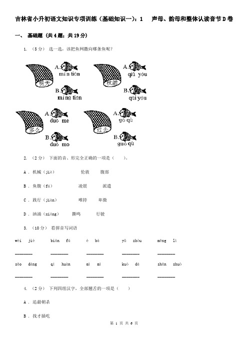 吉林省小升初语文知识专项训练(基础知识一)：1   声母、韵母和整体认读音节D卷