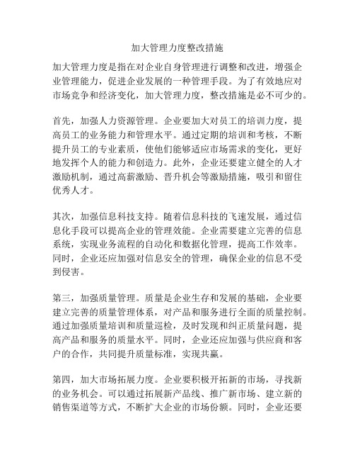 加大管理力度整改措施