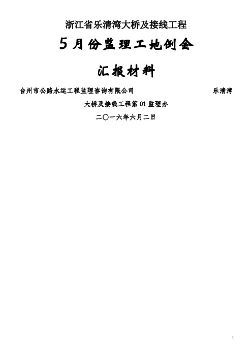 2016年5月份工地例会汇报材料