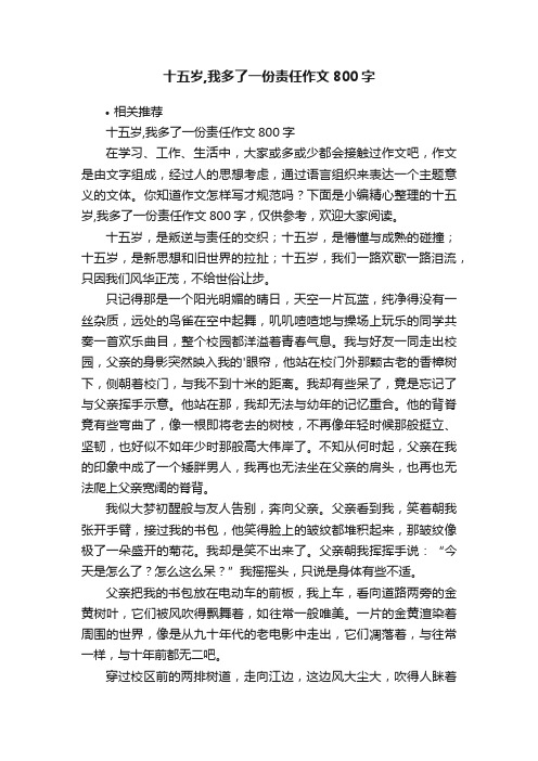 十五岁,我多了一份责任作文800字